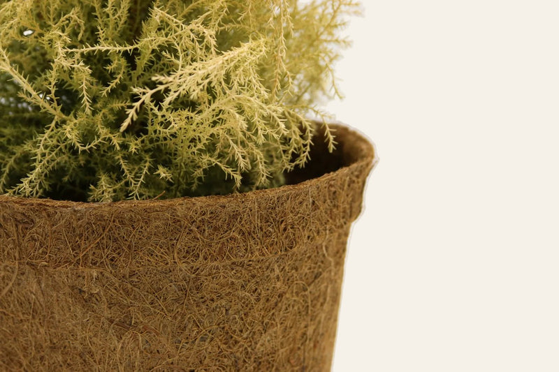 10cm Coir Plant Pots – 100% Biodegradable Pots & Peat - Free | Starter Pots | Plant pot | 5060861940155 5060861940155 | AllotMate Essentials
