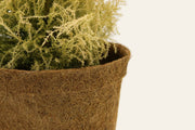 10cm Coir Plant Pots – 100% Biodegradable Pots & Peat - Free | Starter Pots | Plant pot | 5060861940155 5060861940155 | AllotMate Essentials
