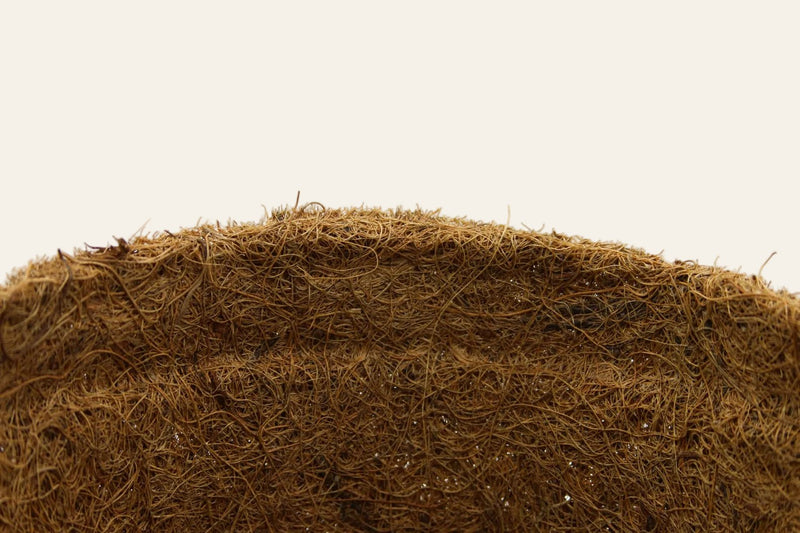 10cm Coir Plant Pots – 100% Biodegradable Pots & Peat - Free | Starter Pots | Plant pot | 5060861940155 5060861940155 | AllotMate Essentials