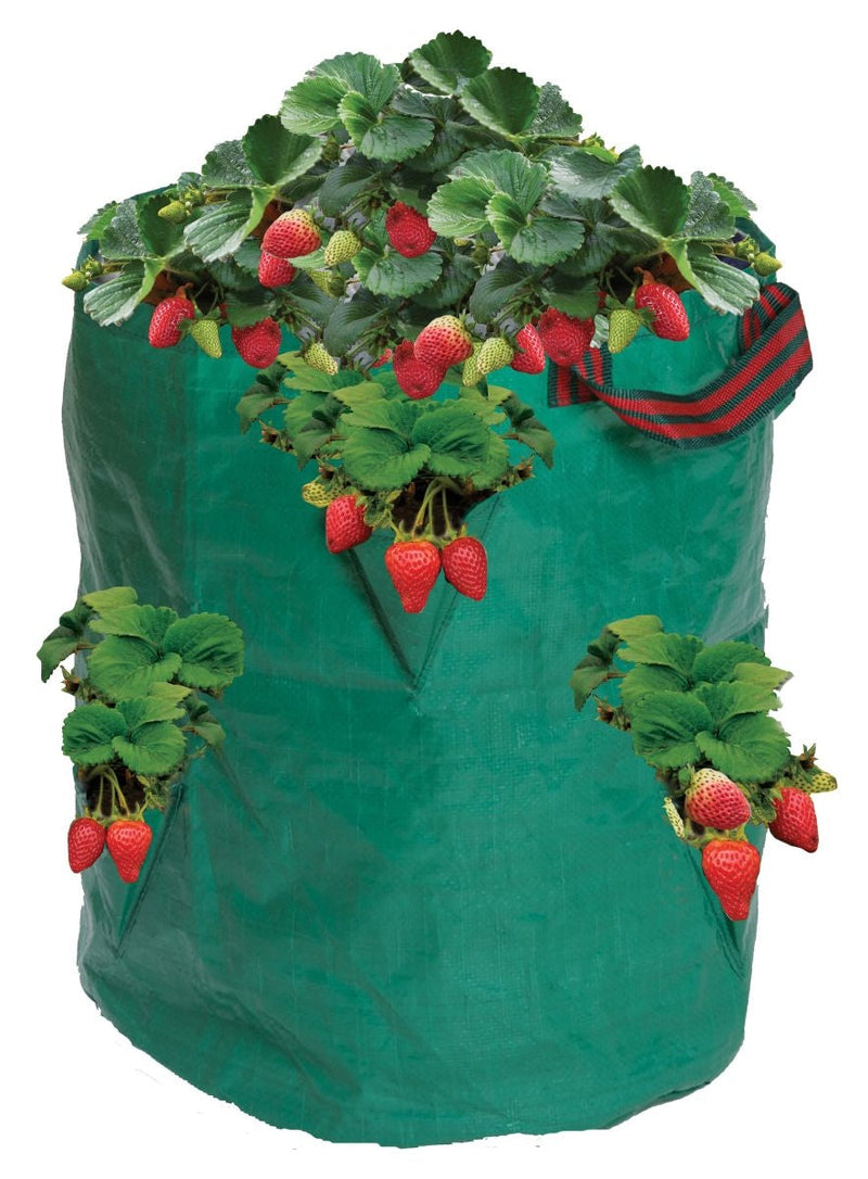 Garland Strawberry/Herb Bag W0510 The Green Thumb Club