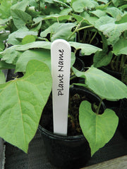 13cm Plant Labels – Reusable Plastic, Wood and Slate Markers for Pots & Beds | Garland | Plant Labels | 5031670508560 5031670508560 | AllotMate Essentials