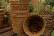 17cm Coir Plant Pots – 100% Biodegradable Pots & Peat - Free | Ideal for Growing On | Plant pot | 5060861940650 5060861940650 | AllotMate Essentials
