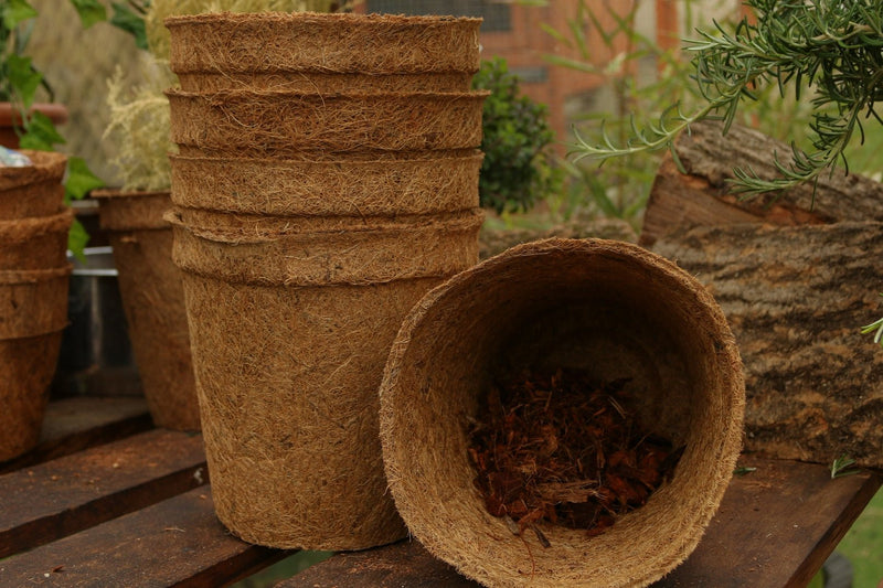 17cm Coir Plant Pots – 100% Biodegradable Pots & Peat - Free | Ideal for Growing On | Plant pot | 5060861940650 5060861940650 | AllotMate Essentials