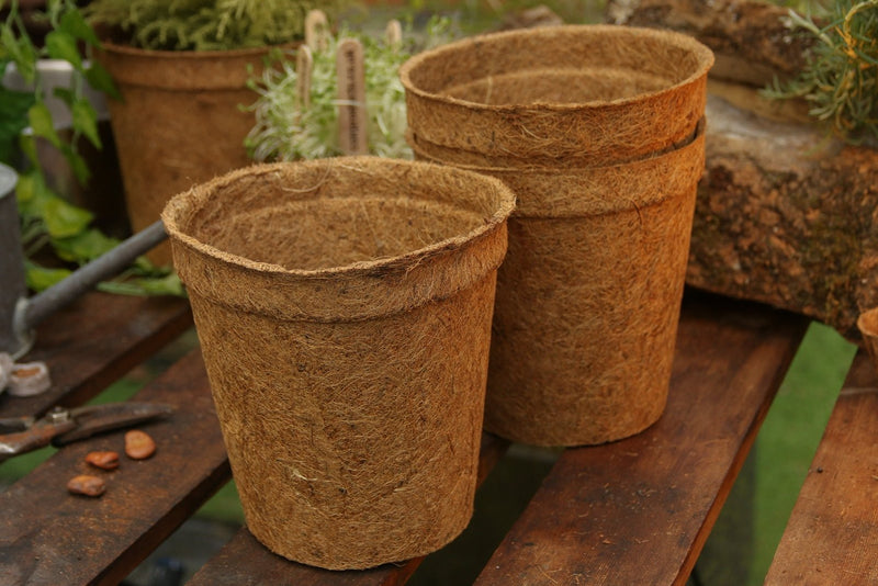 17cm Coir Plant Pots – 100% Biodegradable Pots & Peat - Free | Ideal for Growing On | Plant pot | 5060861940650 5060861940650 | AllotMate Essentials