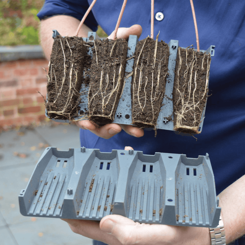 28 Cell Deep Root Seed Success Kit, Deep Cell Propagator for Long Rooted Plants | Unheated Propagation | 5031670004208 5031670004208 | AllotMate Essentials