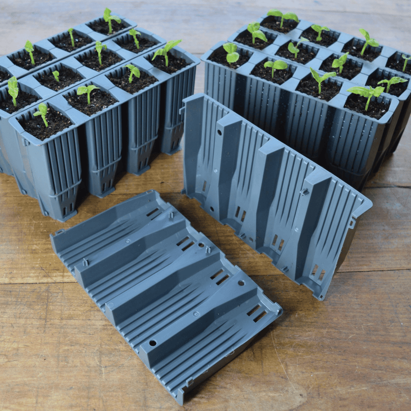 28 Cell Deep Root Seed Success Kit, Deep Cell Propagator for Long Rooted Plants | Unheated Propagation | 5031670004208 5031670004208 | AllotMate Essentials