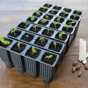 28 Cell Deep Root Seed Success Kit, Deep Cell Propagator for Long Rooted Plants | Unheated Propagation | 5031670004208 5031670004208 | AllotMate Essentials