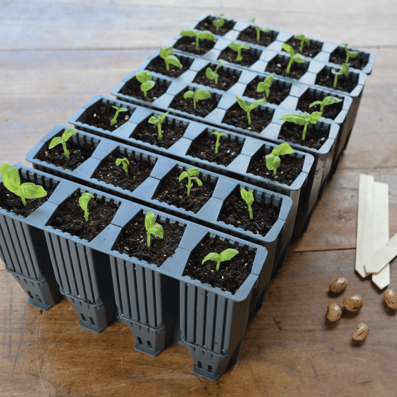 28 Cell Deep Root Seed Success Kit, Deep Cell Propagator for Long Rooted Plants | Unheated Propagation | 5031670004208 5031670004208 | AllotMate Essentials