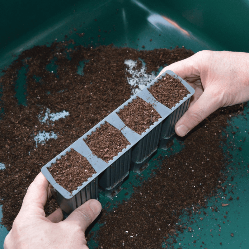 28 Cell Deep Root Seed Success Kit, Deep Cell Propagator for Long Rooted Plants | Unheated Propagation | 5031670004208 5031670004208 | AllotMate Essentials