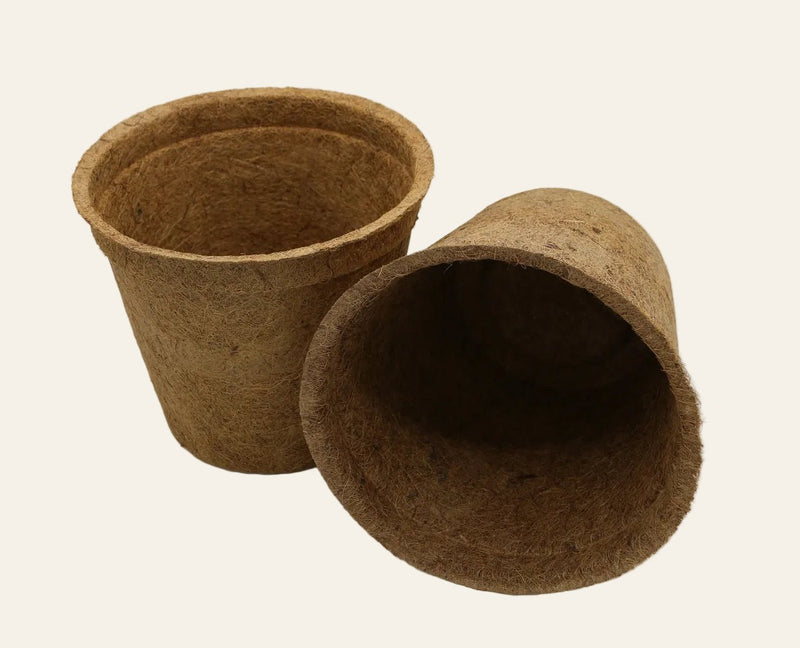 28cm Coir Plant Pots – 100% Biodegradable Pots & Peat - Free | For Bigger Plants | Plant pot | 23247378 23247378 | AllotMate Essentials