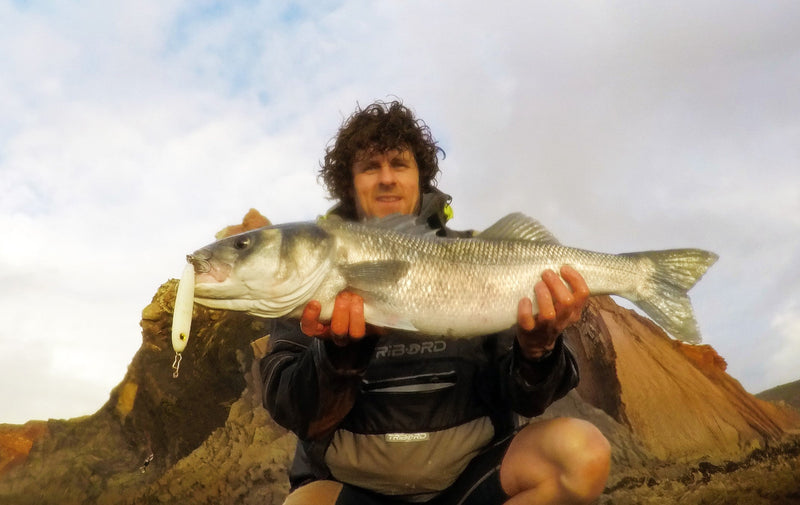 Tweak Bait - Medium Sink  (Sub Surface)