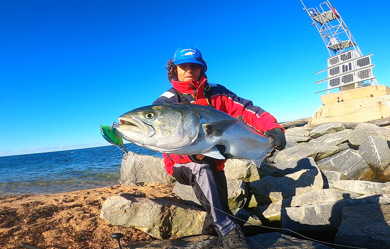 Enticer Minnow