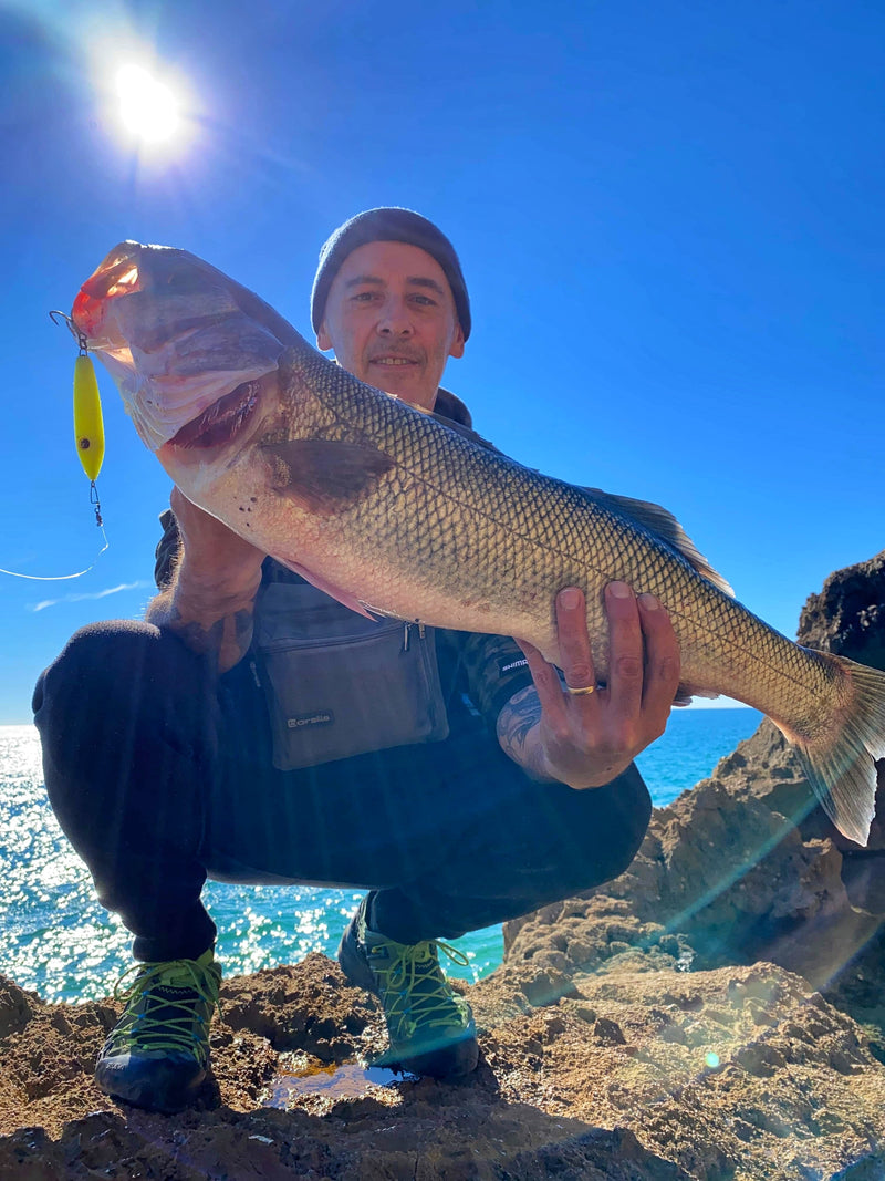 Enticer Minnow
