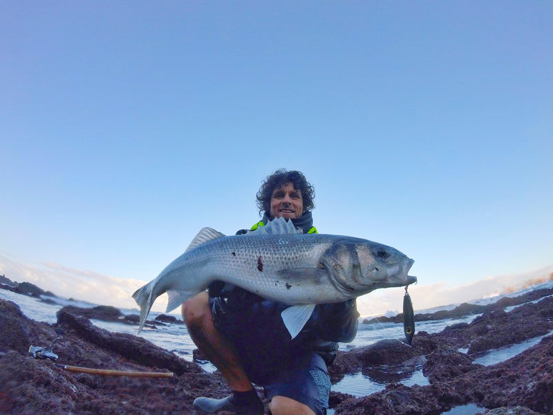 Enticer Minnow