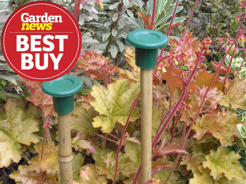 Garland Cane Caps W1810 The Green Thumb Club