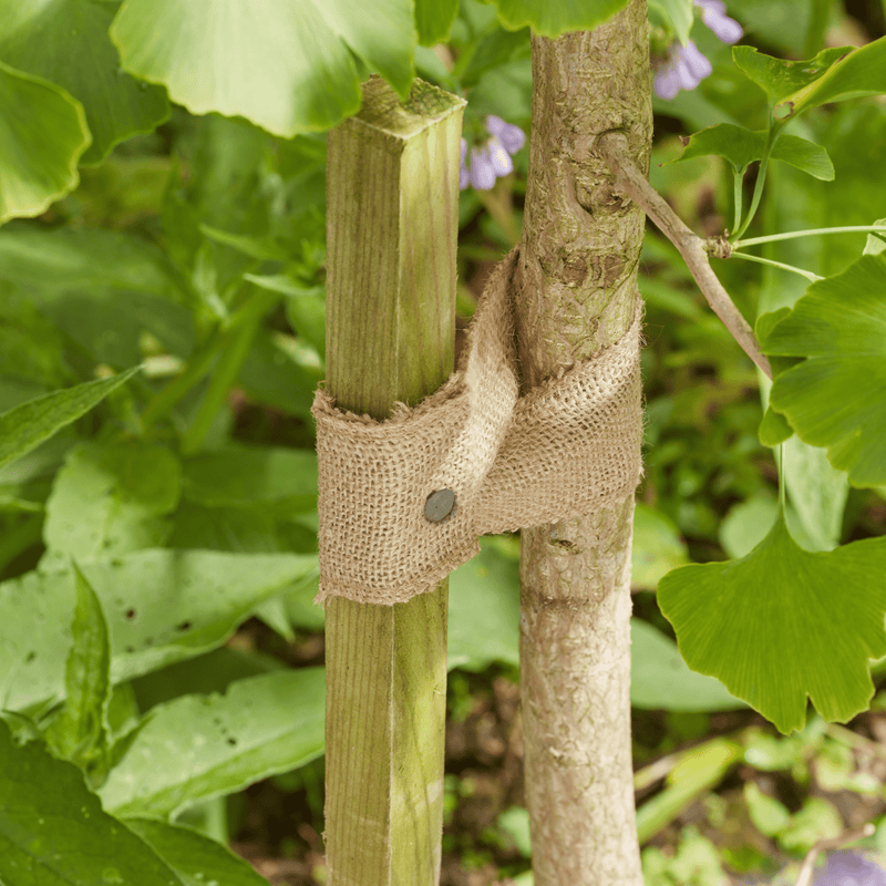 5.5m JuteWeb Tree Tie Natural Biodegradable Plant Support and Craft Jute | Plant supports and fixings | 5050642100533 5050642100533 | AllotMate Essentials