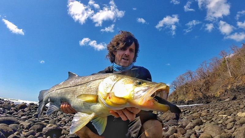 Tweak Bait - Fast Sink  (Sub Surface)