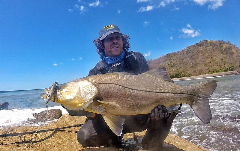 Tweak Bait - Fast Sink  (Sub Surface)