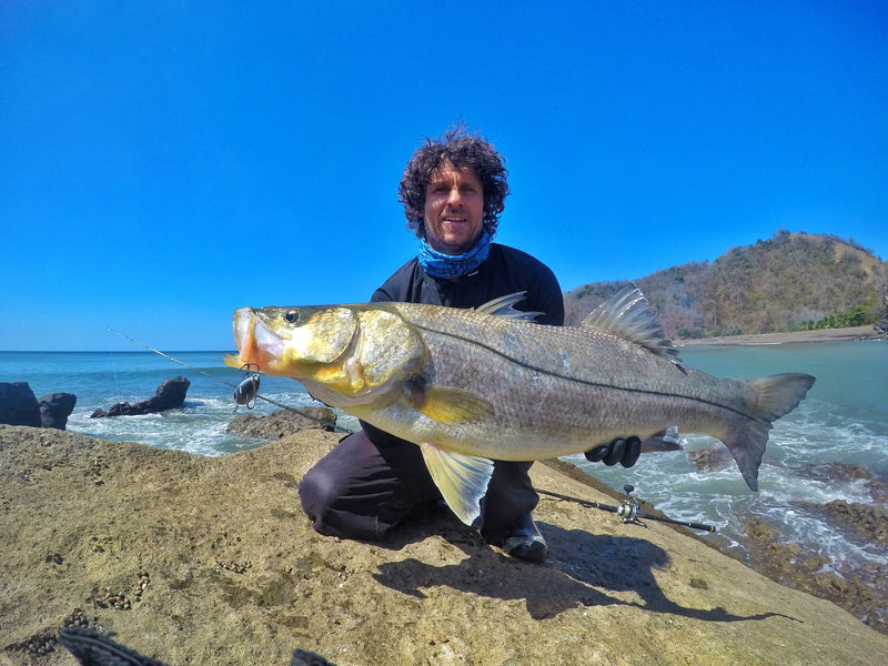 Tweak Bait - Medium Sink  (Sub Surface)