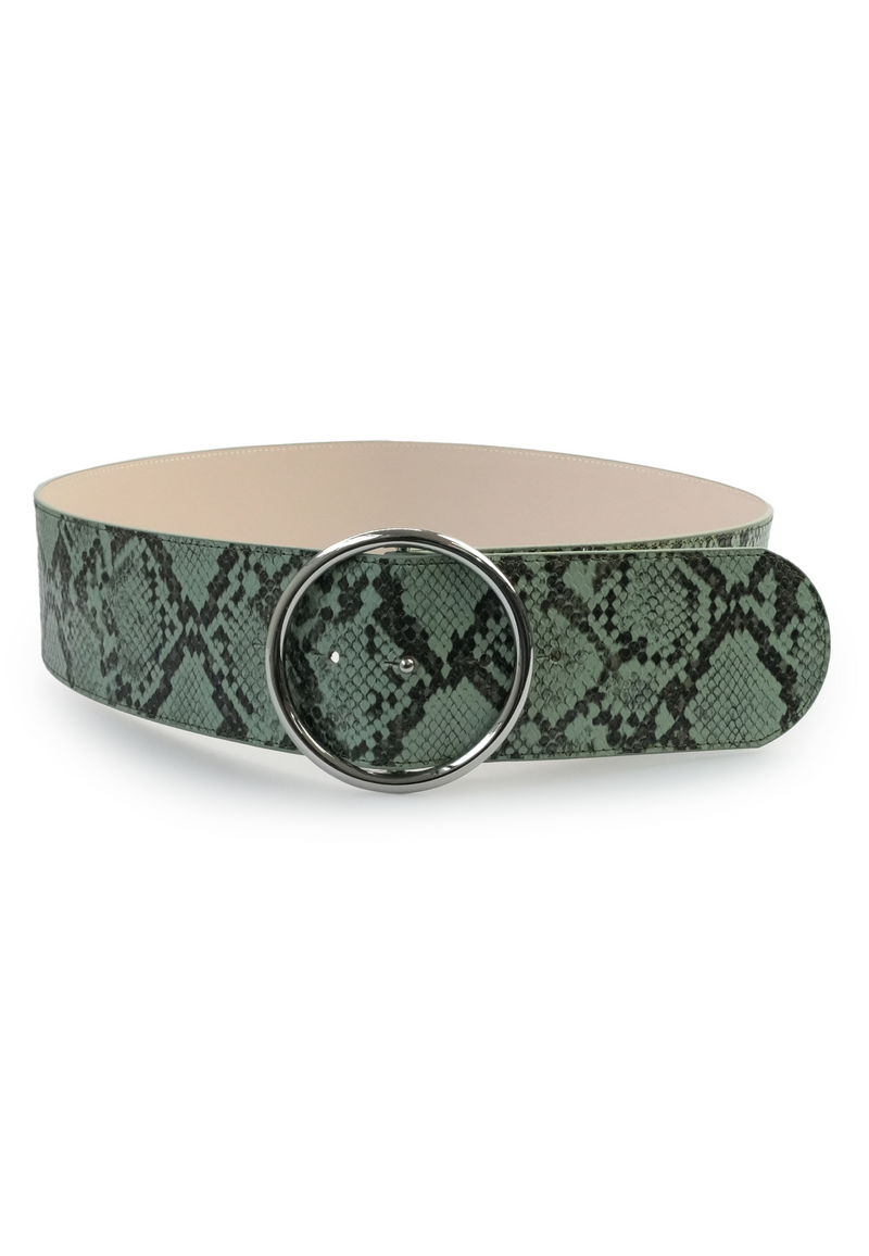 Snake Print Dual Buckle Belt