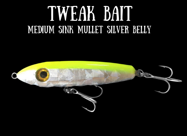 Tweak Bait - Medium Sink  (Sub Surface)