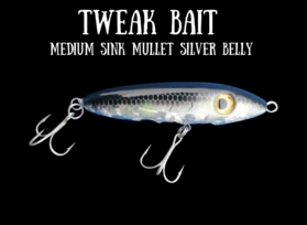 Tweak Bait - Medium Sink  (Sub Surface)