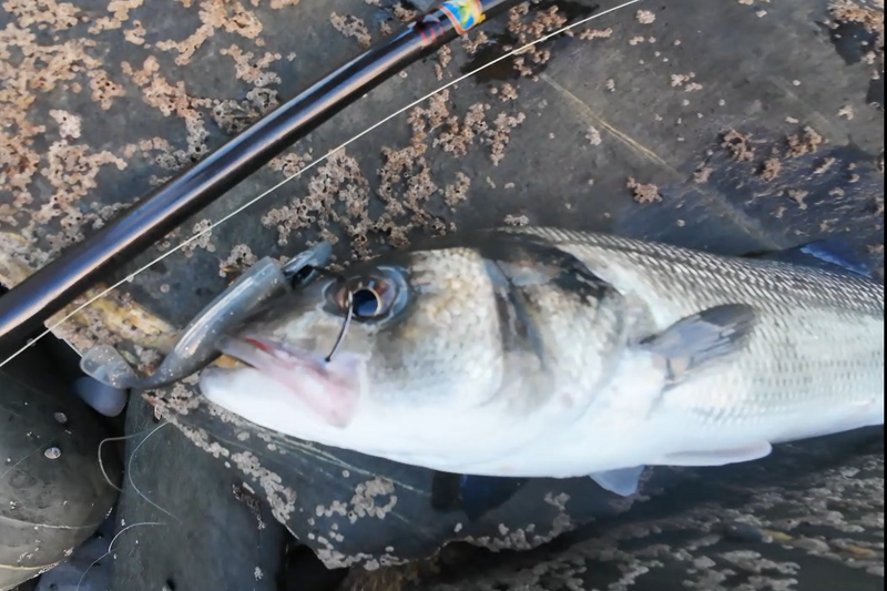 Waylander - Mean Minnow x3 Soft Plastic with Jighead (Lead Free) 27g