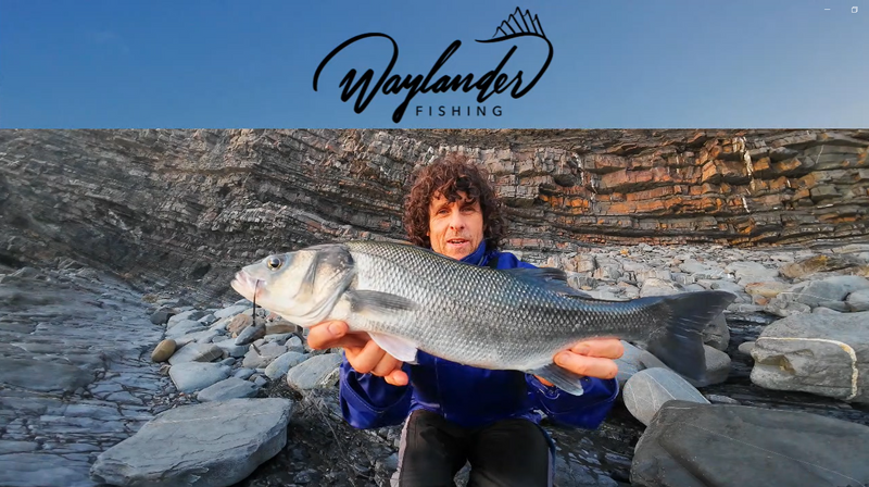 Waylander - Mean Minnow x3 Soft Plastic with Jighead (Lead Free) 27g