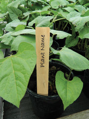 AllotMate Essentials The Pot - on Bundle - AllotMate Essentials -