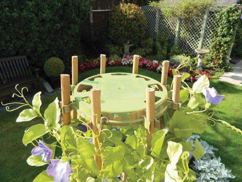 Bean & Pea Support Ring – Durable Metal Frame for Climbing Crops | Garland | Bean & Pea Ring | 5031670520043 5031670520043 | AllotMate Essentials