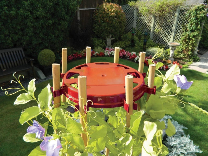Bean & Pea Support Ring – Durable Metal Frame for Climbing Crops | Garland | Bean & Pea Ring | 5031670520050 5031670520050 | AllotMate Essentials