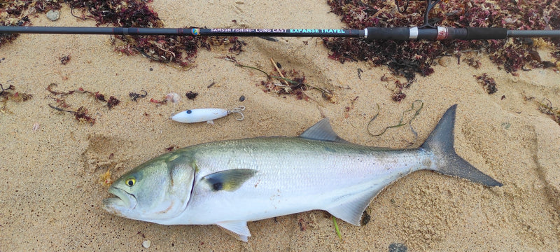 Enticer Minnow
