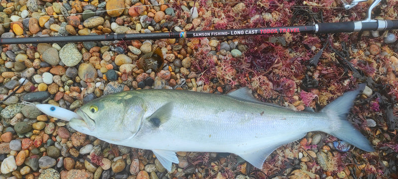 Enticer Minnow