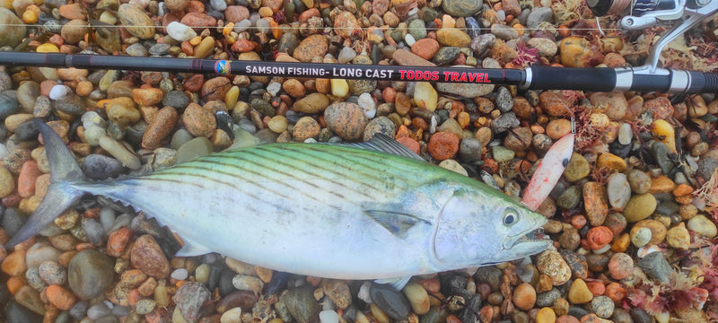 Enticer Minnow