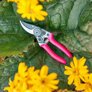 Burgon and Ball - Fluorescent Pocket Pruner - Pink | Pruner | GFB/PPPINK | AllotMate Essentials