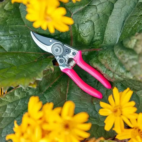 Burgon and Ball - Fluorescent Pocket Pruner - Pink | Pruner | GFB/PPPINK | AllotMate Essentials