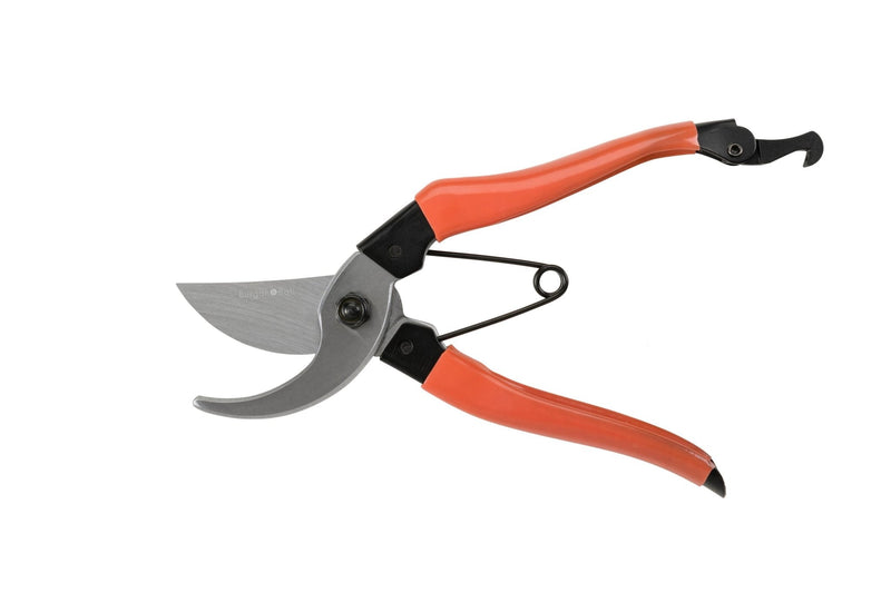 Burgon and Ball - NEW Collectors Red Bypass Secateurs | Bypass Secateurs | GCC/SCRED | AllotMate Essentials