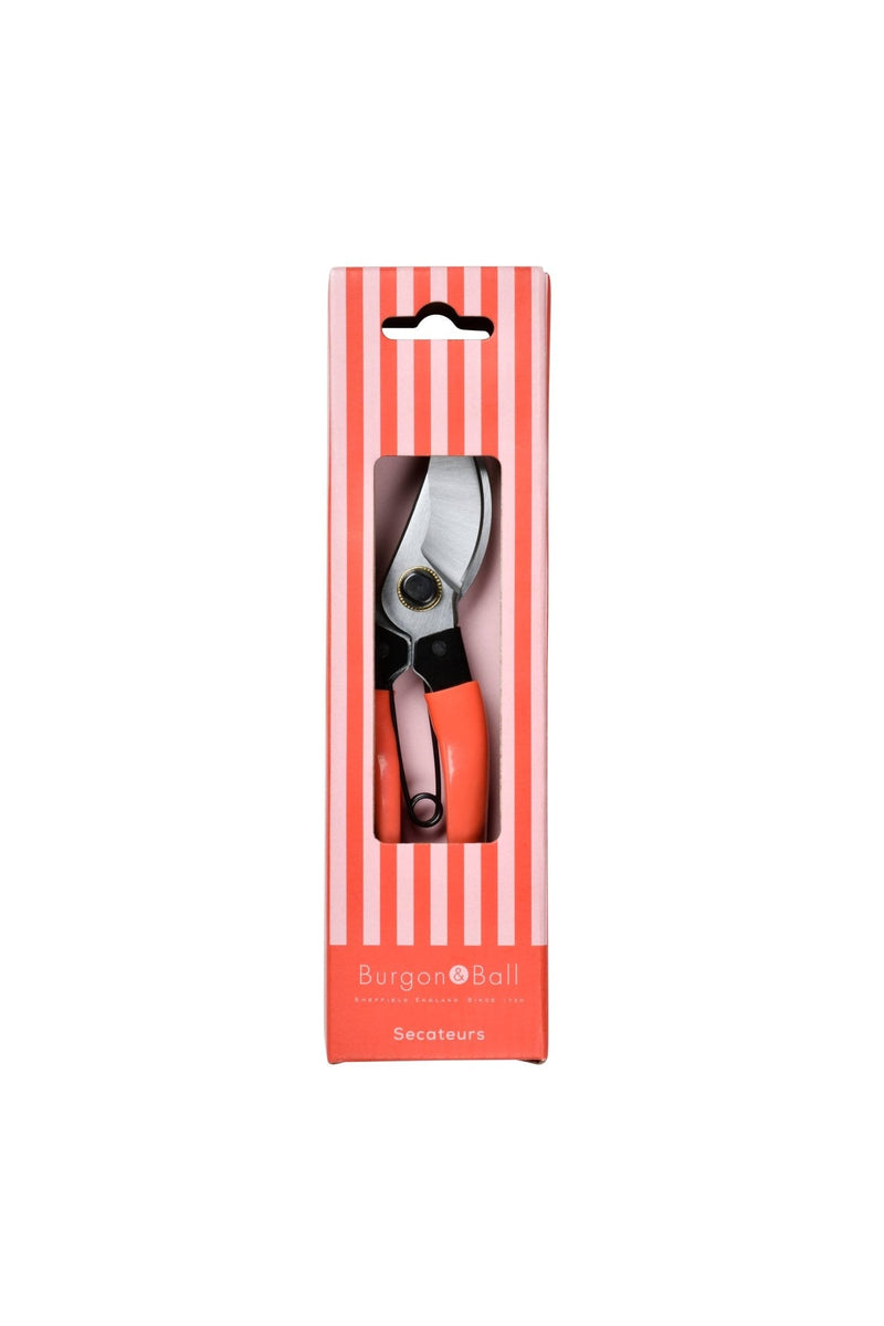 Burgon and Ball - NEW Collectors Red Bypass Secateurs | Bypass Secateurs | GCC/SCRED | AllotMate Essentials