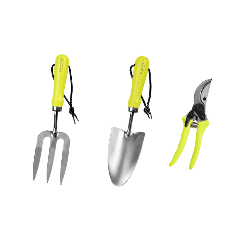 Burgon and Ball The 'Found it!' Gardening Tool Bundle (Save 20%) - Garden Tool Set - AllotMate Essentials - GFB/HFYHTYBSY -