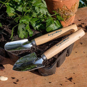 Cell Tray Trowels – Precision Tools for Seed Trays & Plugs | Burgon & Ball | Cell Trowel | 5019360011101 5019360011101 | AllotMate Essentials