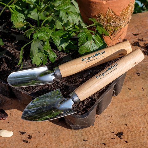 Cell Tray Trowels – Precision Tools for Seed Trays & Plugs | Burgon & Ball | Cell Trowel | 5019360011101 5019360011101 | AllotMate Essentials