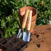 Cell Tray Trowels – Precision Tools for Seed Trays & Plugs | Burgon & Ball | Cell Trowel | 5019360011101 5019360011101 | AllotMate Essentials