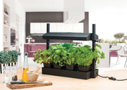 Garland Micro Grow Light Garden G187B, G187W The Green Thumb Club