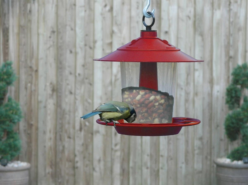 Lantern Bird Seed & Nut Feeder – Hanging Feeder for Wild Birds | Garland | Bird Feeder | W2070 5031670520708 | AllotMate Essentials