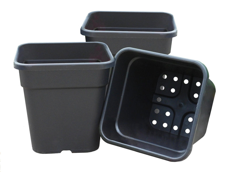 Square Tom Pots – Durable Plastic Pots for Tomatoes & Veg | Garland