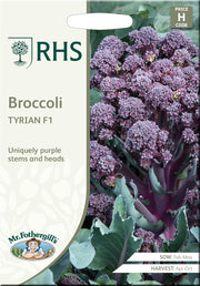 Mr Fothergills RHS Broccoli Tyrian F1 Seeds Purple Stem Summer Sprouting | Vegetable Seeds | 5011775438092 5011775438092 | AllotMate Essentials