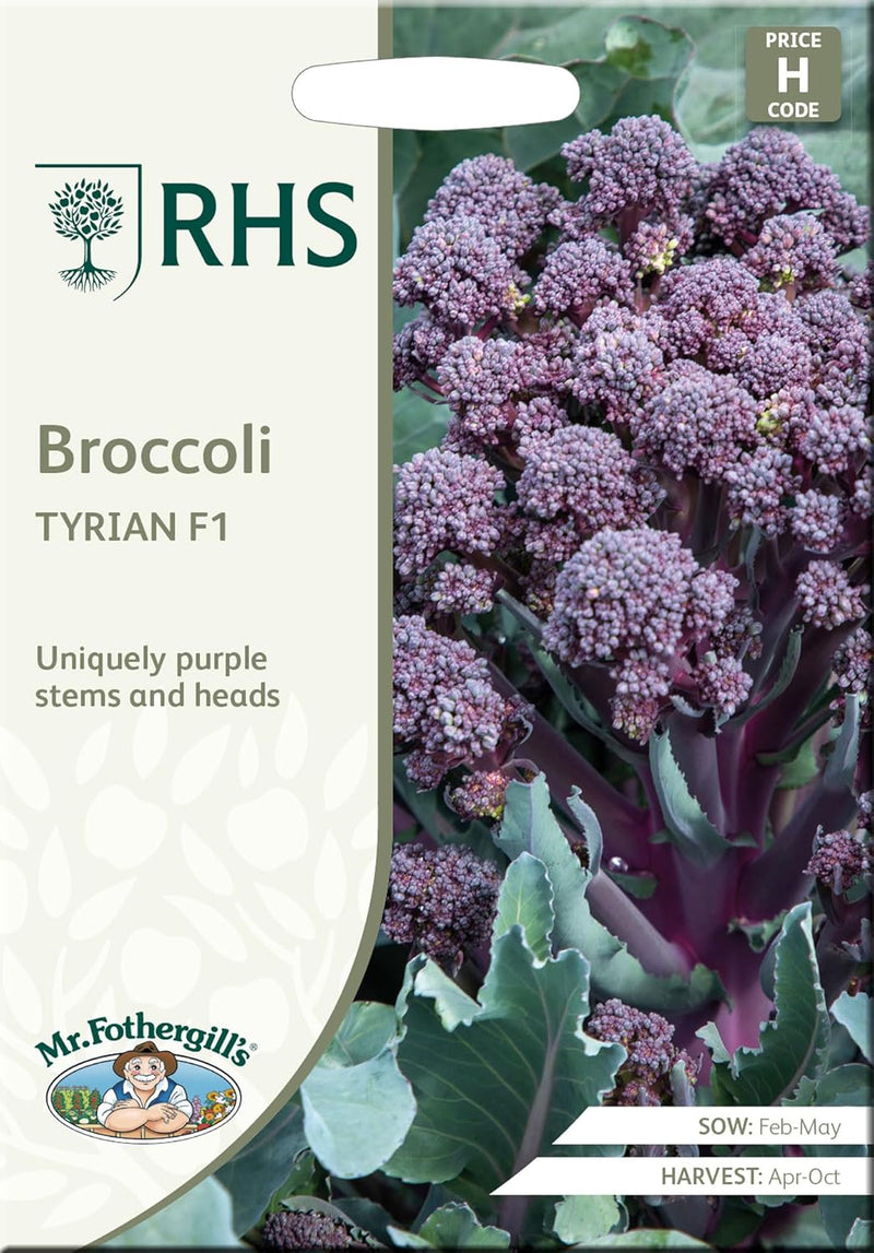 Mr Fothergills RHS Broccoli Tyrian F1 Seeds Purple Stem Summer Sprouting | Vegetable Seeds | 5011775438092 5011775438092 | AllotMate Essentials