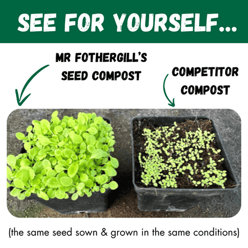 Peat Free Enriched Seed Compost 10L Coir Based Growing Medium | Peat Free Seed Compost | 5011775429366 5011775429366 | AllotMate Essentials