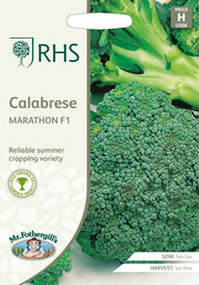 RHS Calabrese Marathon F1 Seeds by Mr Fothergill's, Summer Broccoli, AGM Variety | Vegetable Seeds | 5011775273471 5011775273471 | AllotMate Essentials