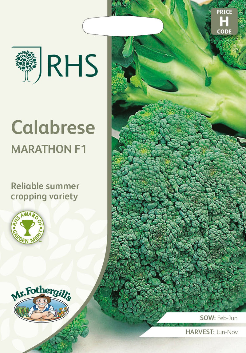 RHS Calabrese Marathon F1 Seeds by Mr Fothergill's, Summer Broccoli, AGM Variety | Vegetable Seeds | 5011775273471 5011775273471 | AllotMate Essentials